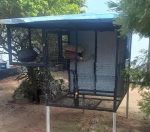 Kuduwa