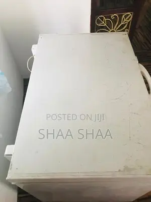 Deep Freezer 300L