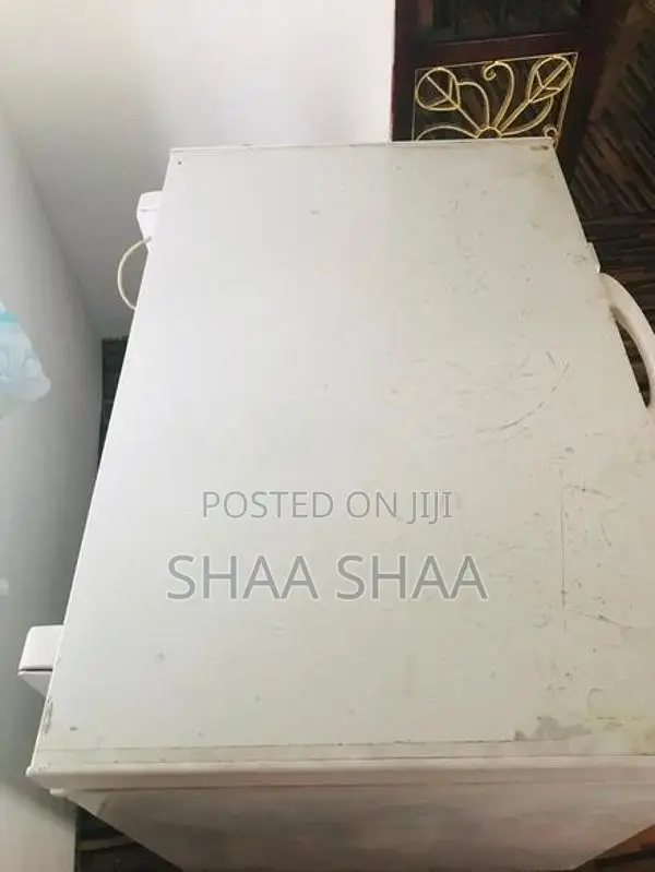 Deep Freezer 300L