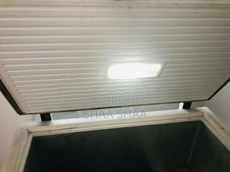 Deep Freezer 300L