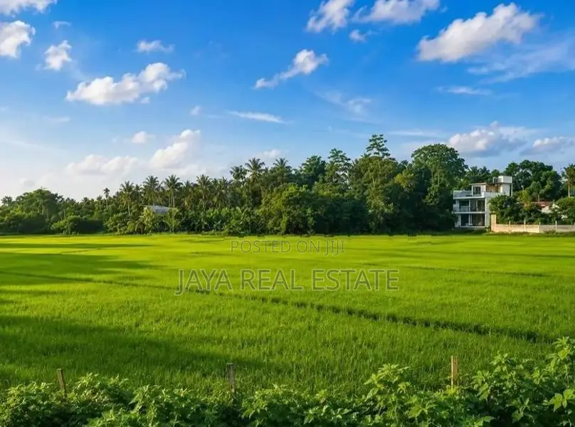 කොළඹින් පර්චස් 06ක සුපිරි ඉඩමක්
