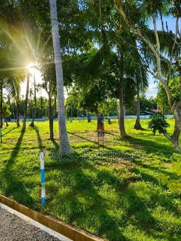 Best Land for Sale in Mellawagedara. S