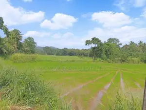 Best Land for Sale in Giriulla