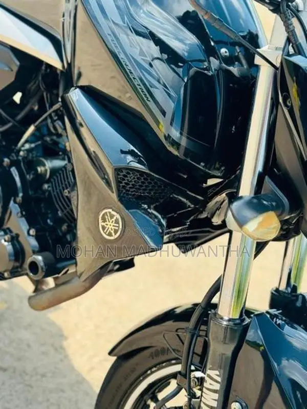 Yamaha FZs V2 2019