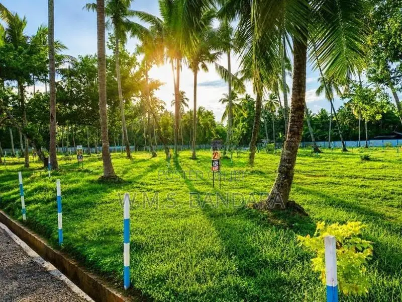 Valuable Land for Sale in Mellawagedara