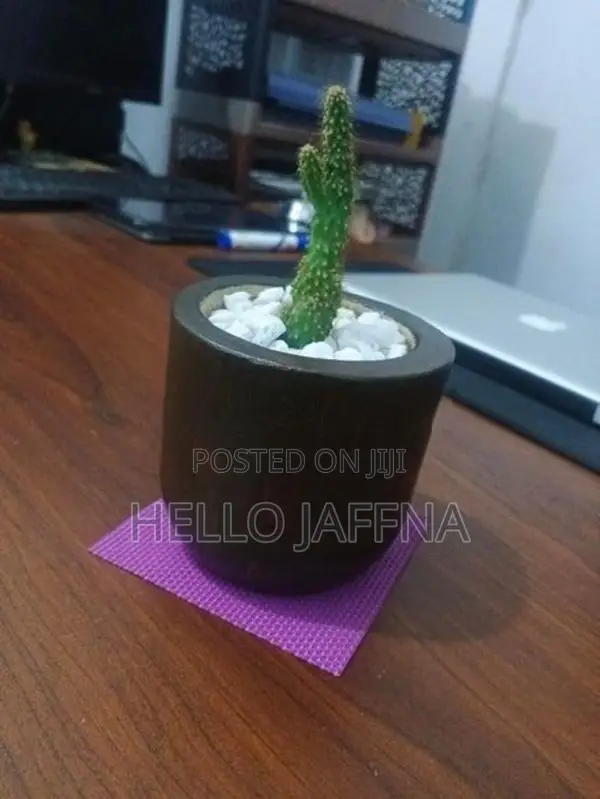 Small Flower Pot