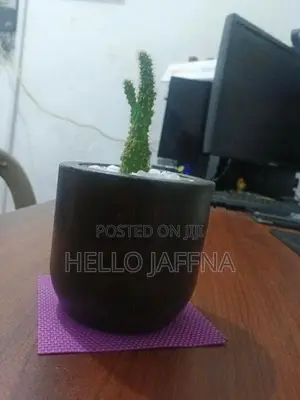 Small Flower Pot