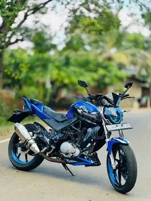 Demak DZM 200 2016