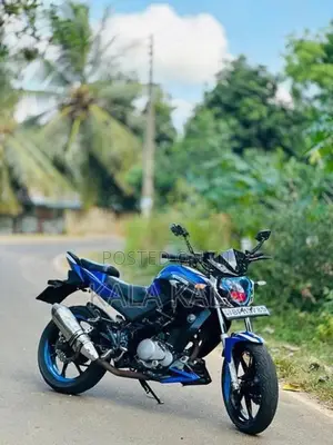 Demak DZM 200 2016