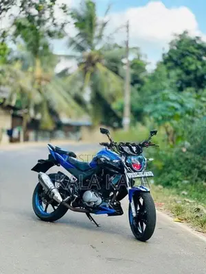 Demak DZM 200 2016
