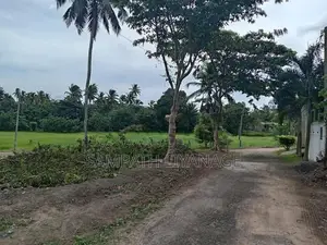 Land for Sale in Kamburugamuwa