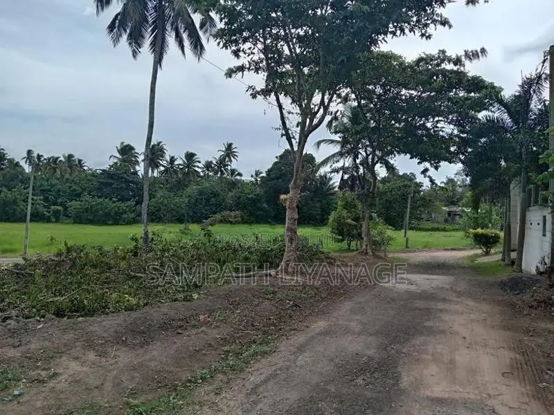 Land for Sale in Kamburugamuwa