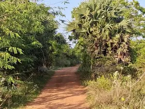Batticaloa 13.5 Acres Land for Sale