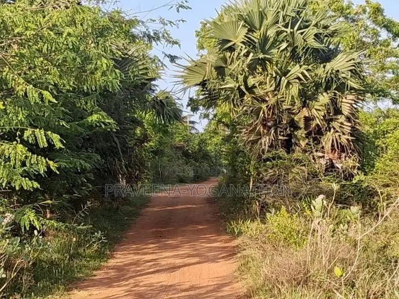 Batticaloa 13.5 Acres Land for Sale