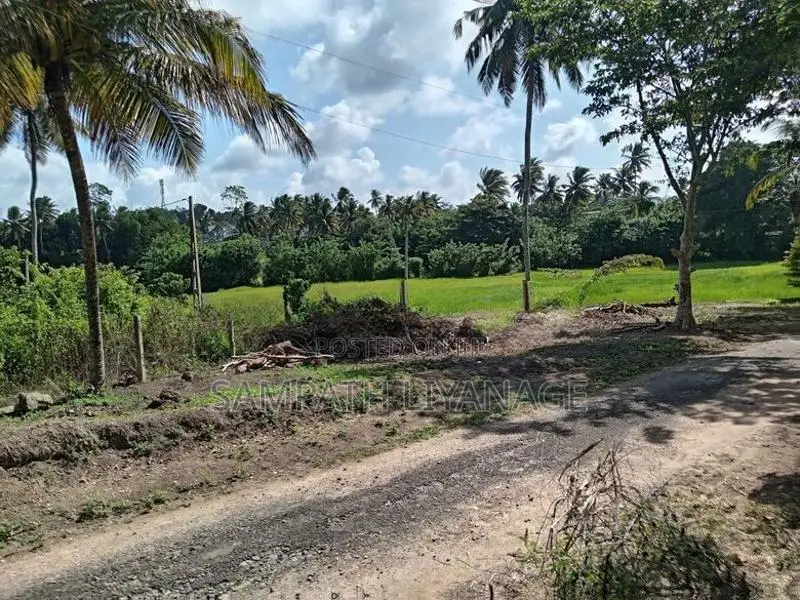 Land for Sale in Kamburugamuwa