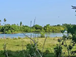 Batticaloa 13.5 Acres Land for Sale