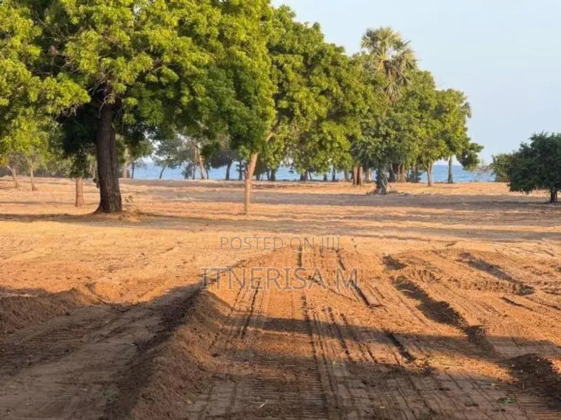 Beachfront Land Sale Trincomalee