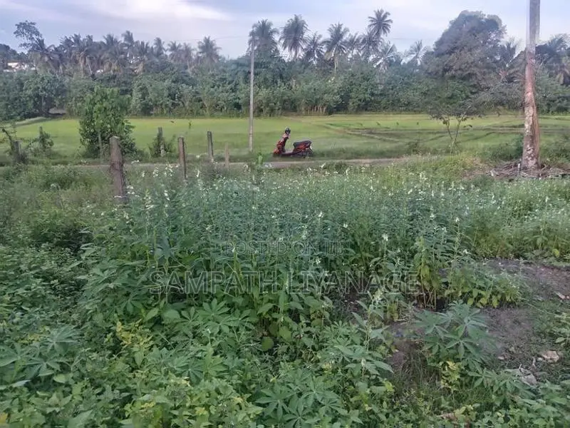 Land for Sale in Kamburugamuwa