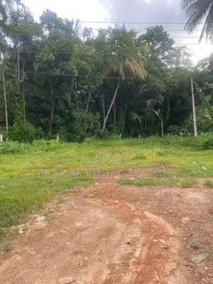Land For Sale Kahadamodara Ranna