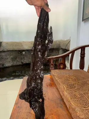 Black Kumbuk Sinked Wood