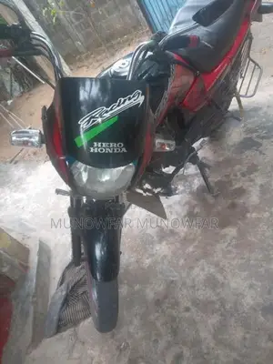 Hero Passion Plus 2004