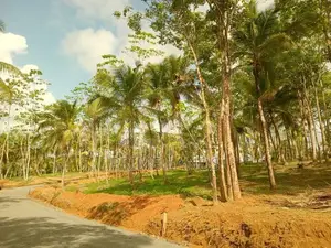 Land for Sale අහංගම