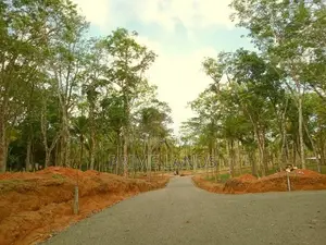 Land for Sale අහංගම