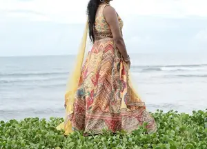Traditional Lehenga Dress