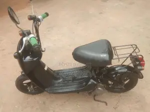 Suzuki Choi Nori 2022
