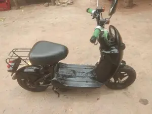 Suzuki Choi Nori 2022