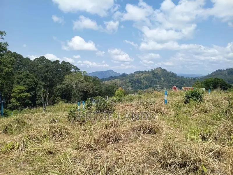 Valuable Land for Sale in Pussallawa