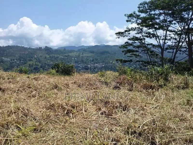 Valuable Land for Sale in Pussallawa