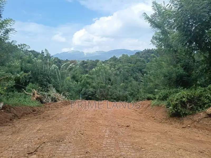 Valuable Land for Sale in Pilimathalawa