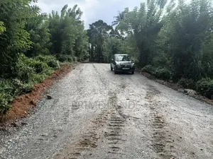 Valuable Land for Sale in Pilimathalawa