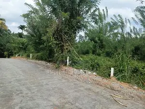 Valuable Land for Sale in Pilimathalawa