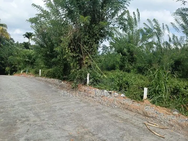 Valuable Land for Sale in Pilimathalawa