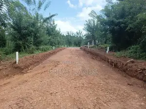 Valuable Land for Sale in Pilimathalawa