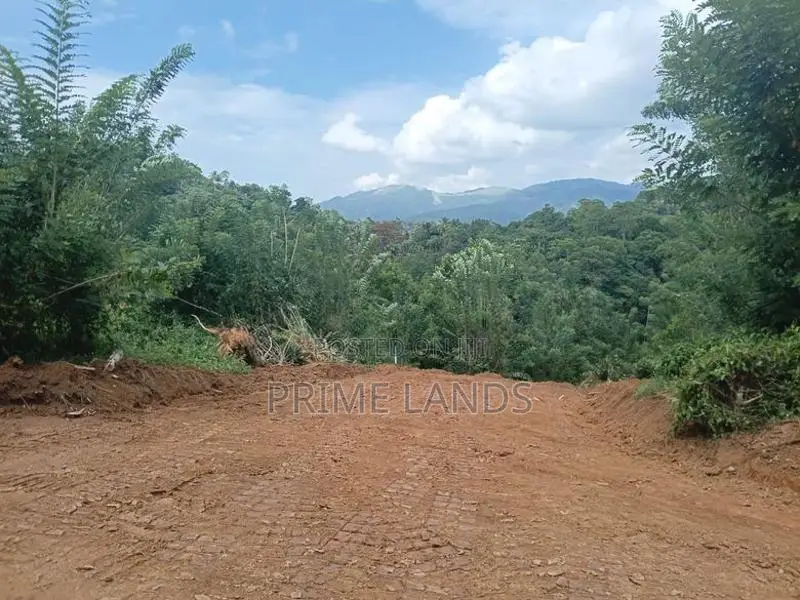 Valuable Land for Sale in Pilimathalawa