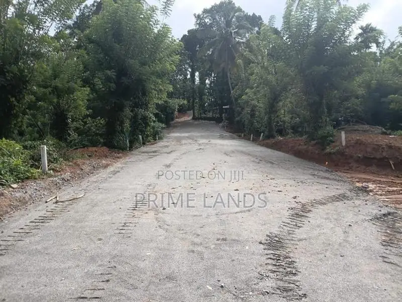 Valuable Land for Sale in Pilimathalawa
