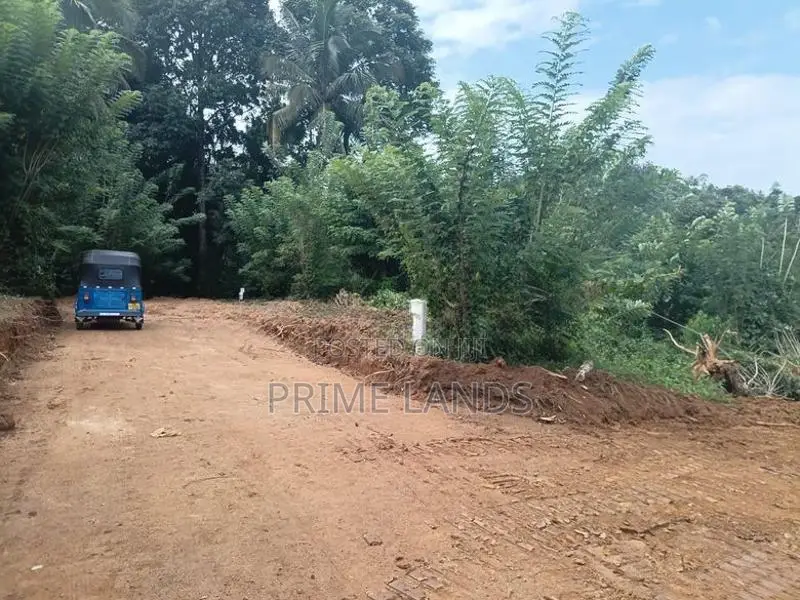 Valuable Land for Sale in Pilimathalawa