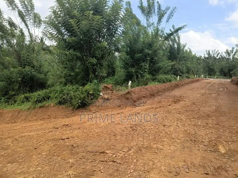 Valuable Land for Sale in Pilimathalawa