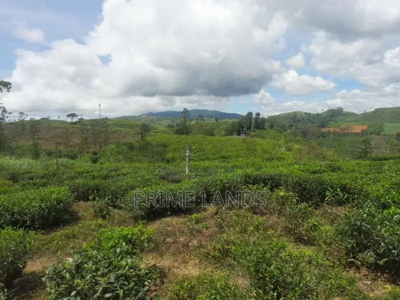 Land for Sale in Hatton