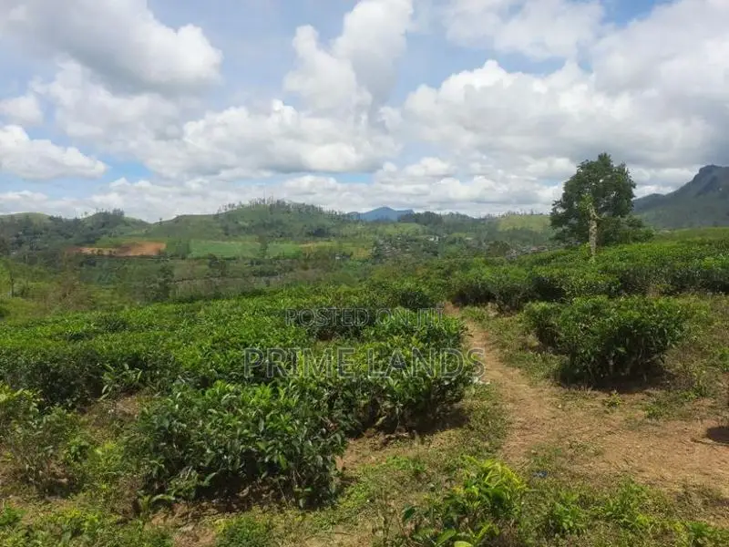 Land for Sale in Hatton