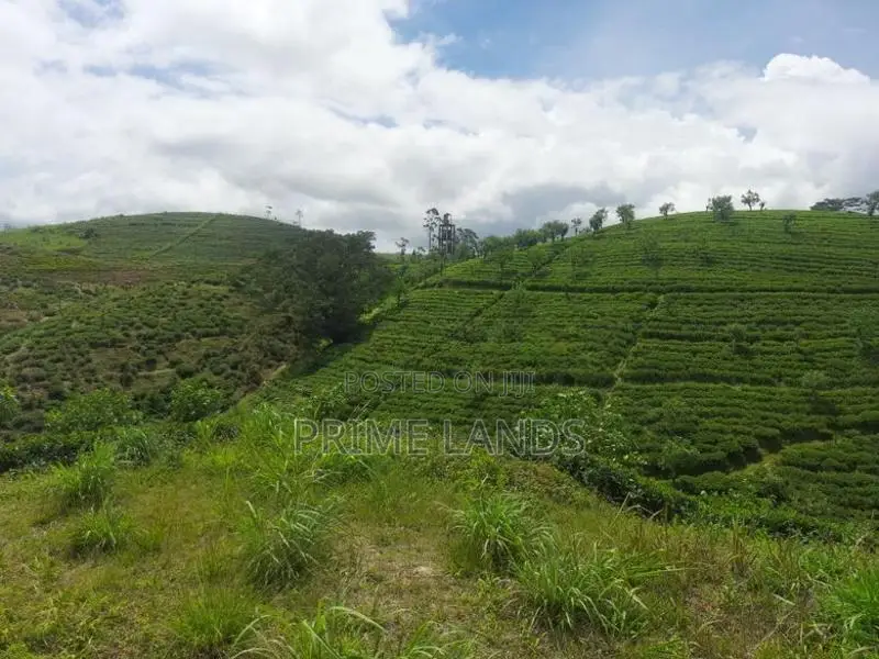 Land for Sale in Hatton