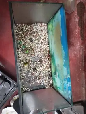 Fish Tank Set