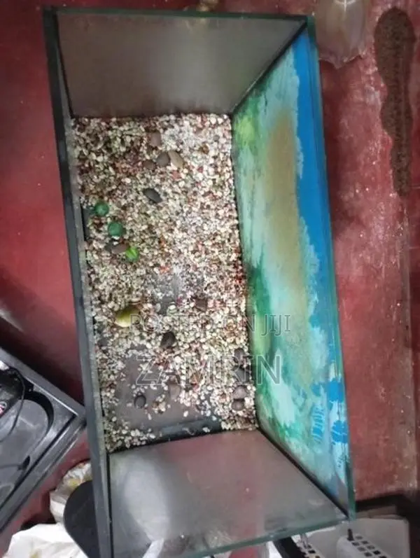 Fish Tank Set