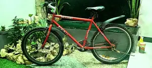 Kenton Bicycle
