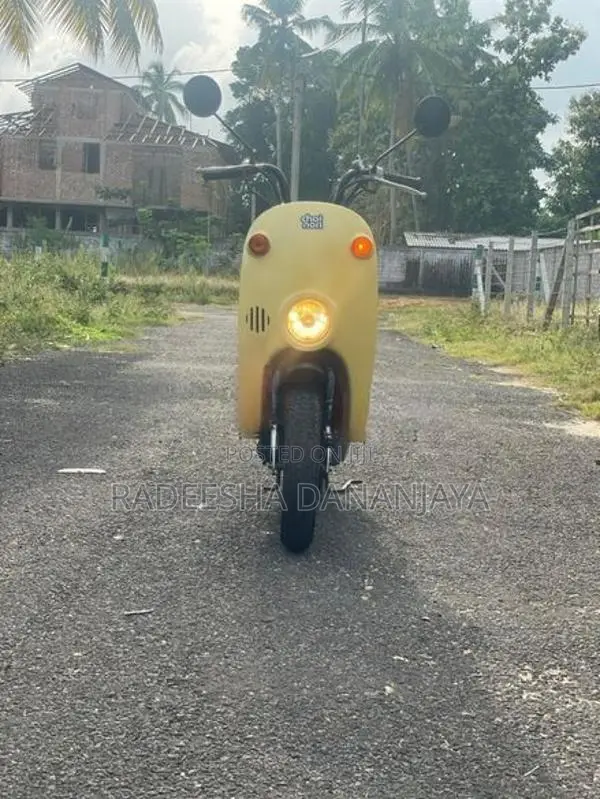 Suzuki Choi Nori 2022