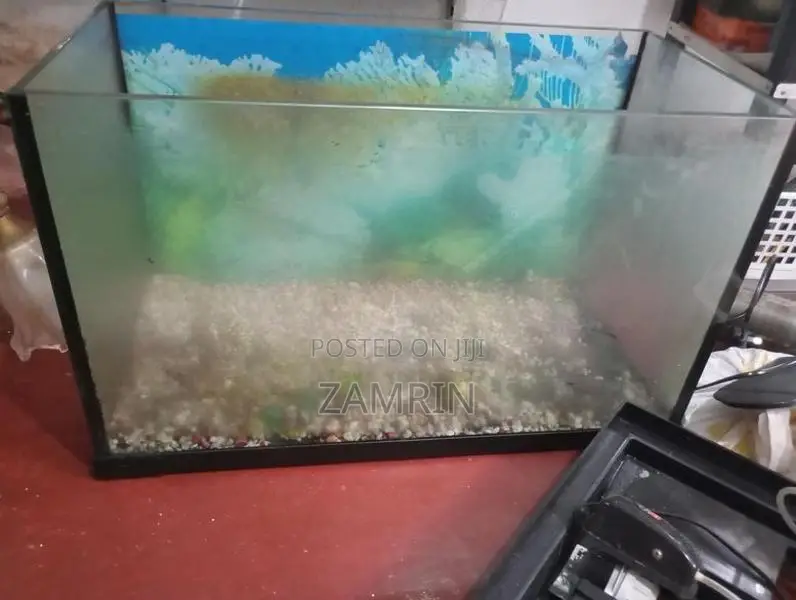 Fish Tank Set