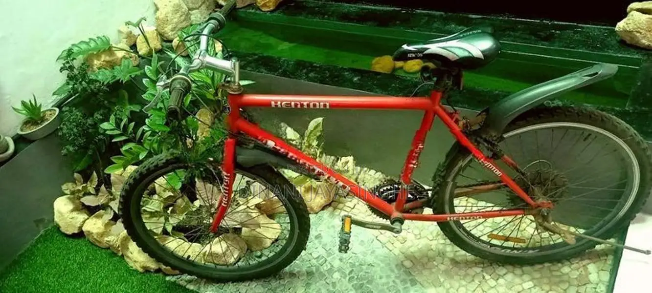 Kenton Bicycle